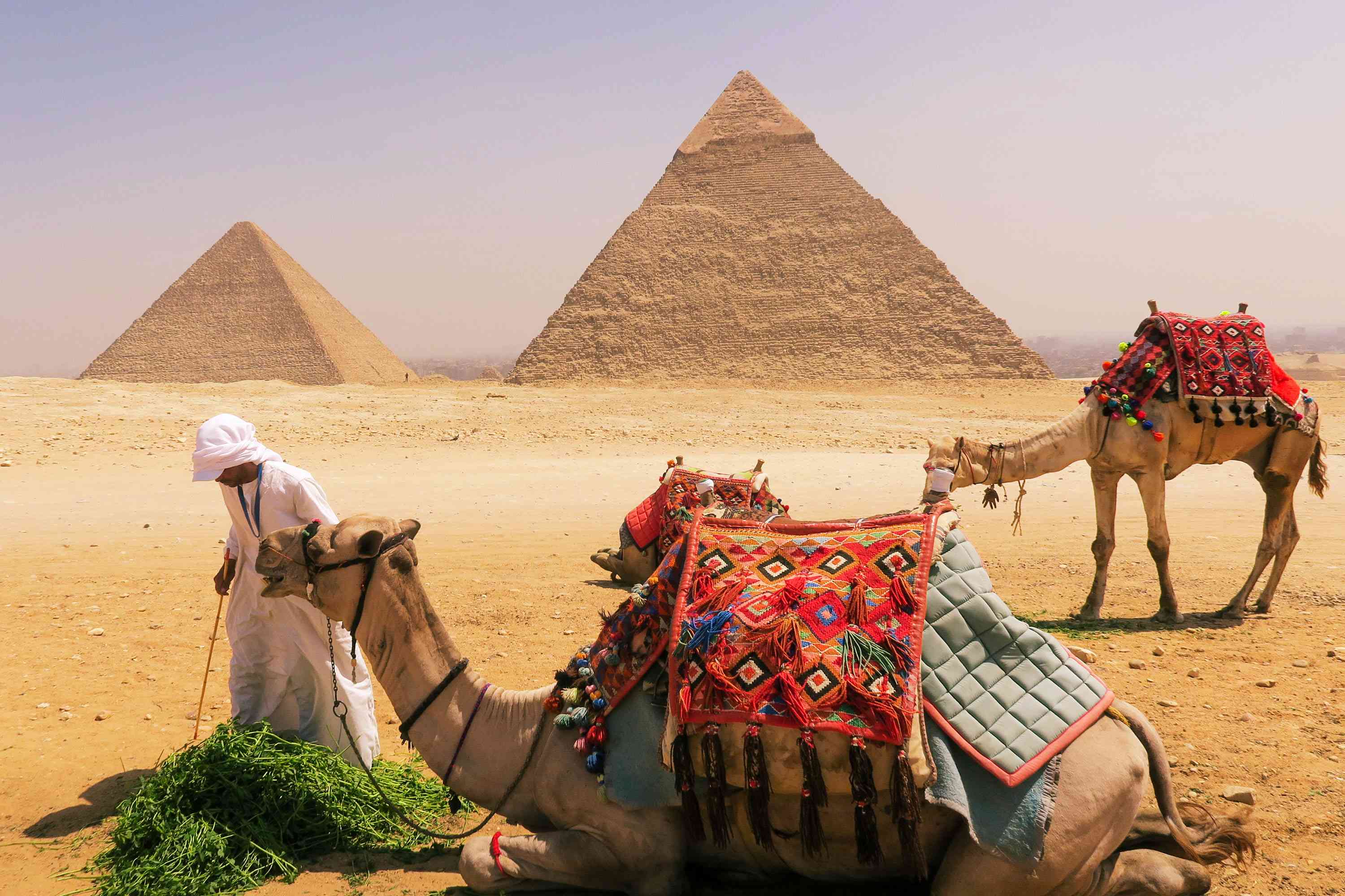 Pyramids of Giza, Egypt by Amie Bunnik